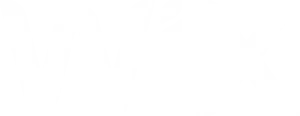 logo wix