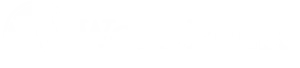 logo wordpress